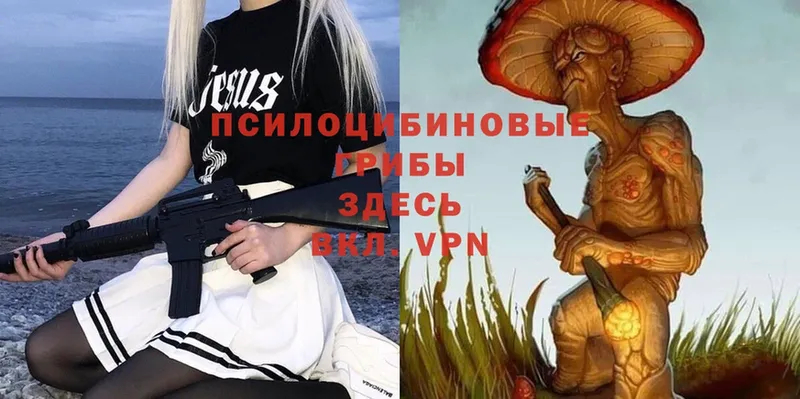 Галлюциногенные грибы Magic Shrooms  Салават 